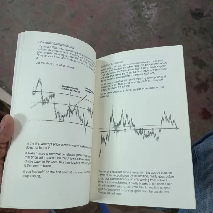 50%20Pips%20a%20Day%20Forex%20Strategy%0A%0ABook%20by%20Laurentiu%20Damir%20-%20Image%202