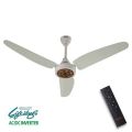 Royal fan passion AC DC invater remote control copper winding. 