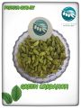 Green Cardamom - high Quality - (Sabz Elaichi) - 250 gm. 