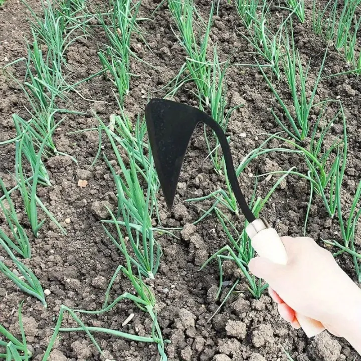 1pc,%20Wooden%20Handle%20Crooked%20Hoe,%20Multifunctional%20Garden%20Digger,%20Metal%20&%20Wooden%20Garden%20Tool,%20Seedling%20Hoe%20for%20Home%20Gardening%20-%20Image%205