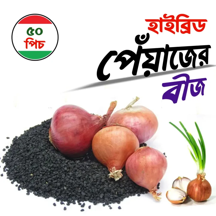 Hybrid onion seeds 50 pis ( repack) | Daraz.com.bd
