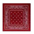 Bandanas Hip Hop Style Unisex Bandanas.