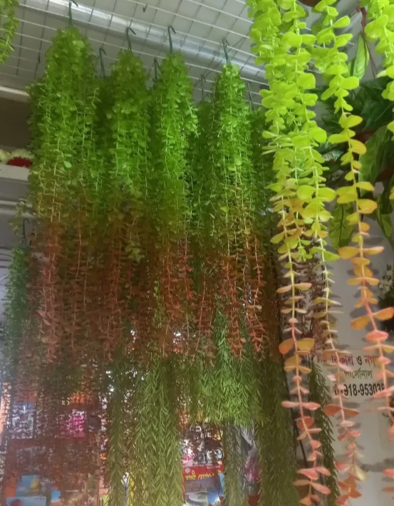 Artificial%20Lota%20or%20creeper%201%20pieces%20green%20red%20mix%20colour%20with%20hanger%20free%20unique%20model%20for%20room%20and%20wall%20decorations.%20-%20Image%202