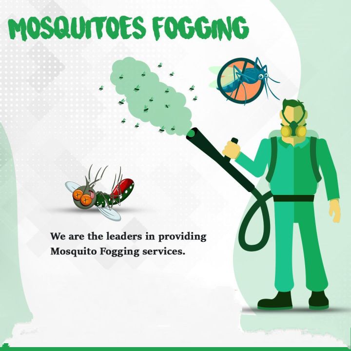 Mosquito%20Fogging%20/%20Dengue%20Control%20/%20Mosquito%20Control%20For%20Exterior%20Area%20Of%20House%20-%20Image%205
