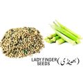 Okra Lady Finger (Bhindi) Kitchen Gardening Vegetable Seeds | Daraz.pk. 