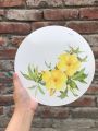 Vintage Jason Round Placemats Set of 6 Souvenir Hawaii Flowers Heavy Cork Board. 