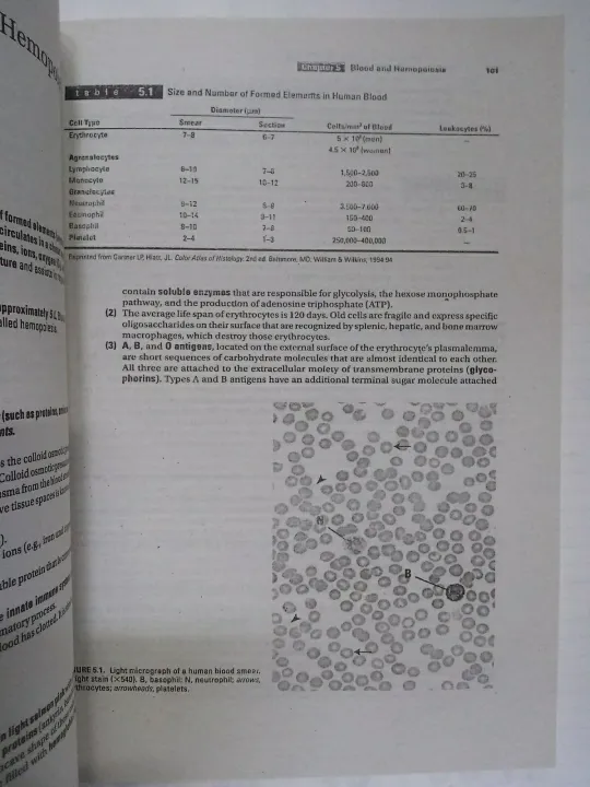 BRS%20CELL%20BIOLOGY%20AND%20HISTOLOGY%208TH%20EDITION%20BY%20LESLIE.%20P%20GARTNER%20-%20Image%203