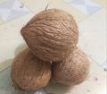 Dry coconut ( pitha making) 1pcs. 