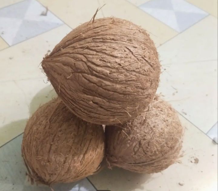 Dry coconut ( pitha making) 1pcs