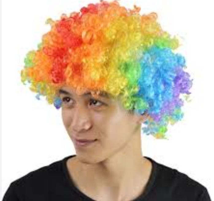 Adult%20Multi%20Coloured%20Rainbow%20Circus%20Curly%20Afro%20Clown%20Wig%20Halloween%20Fancy%20Dress%20-%20Image%204