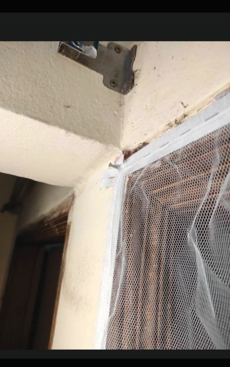 Door%20Anti%20Mosquito%20Net/Insect%20Flying%20Bug%20Mosquito%20Net/Best%20Quality%20Mosquito%20Net%202.5inc/7feet's%20-%20Image%202