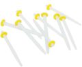 12Pcs Dental Glass Fiber Post Root Canal Pins Straight. 