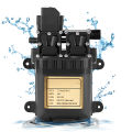 Portable Dual Motor 12V Water Pump Diaphragm Pump Built-in Pressure Switch 1.1Mpa Pressure 8.0LPM Flow Pressure Pump for Home. 