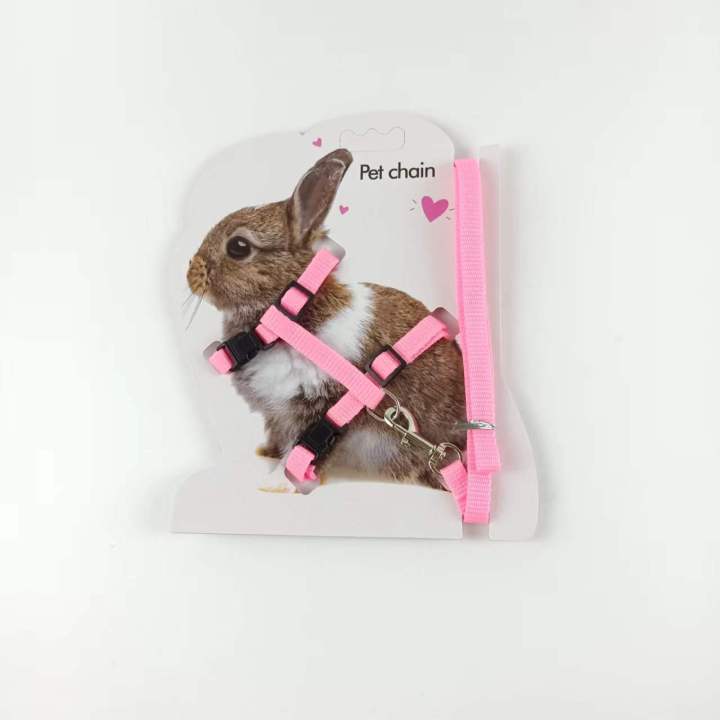 Rabbit%20Harness%20and%20Leash%20Adjustable%20Nylon%20~%20Kitten%20adult%20Belt%20Collar%20with%20lead%20-%20Image%203