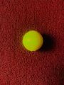 Speed Hard Plastic balls 50 g For cricket Training. 