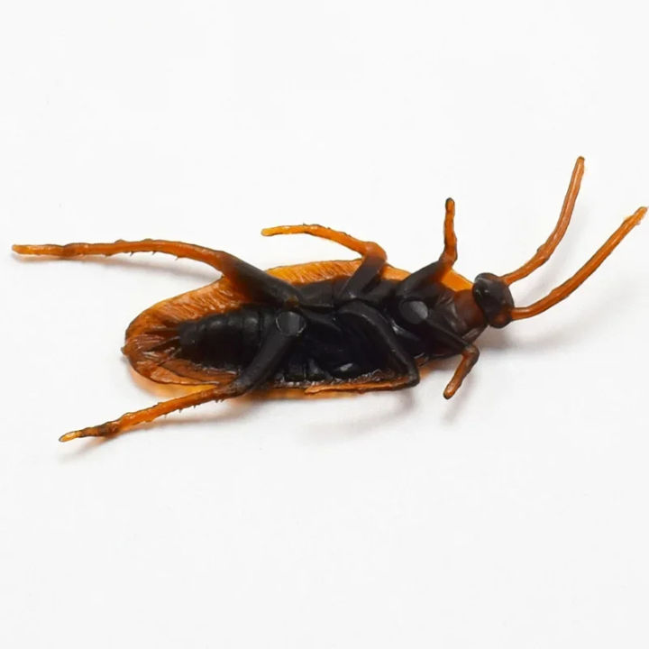 5-50Pcs%20Special%20Lifelike%20Model%20Simulation%20Fake%20%20Cock%20Cockroach%20Roach%20Bug%20Roaches%20Toy%20Prank%20Funny%20Trick%20Joke%20Simulation%20Toy%20-%20Image%207