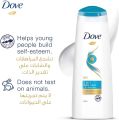 Dove Daily Care 2in1 Shampoo & Conditioner - 400ml.