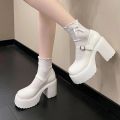 High Heels Mary Janes Shoes Autumn 2024 Patent Leather Heeled Shoes Woman Chunky Platform Ankle Strap Pumps for Women. 