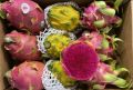 Original Dragon Fruit Seeds Fresh Seeds pack of 10 Dragon seeds. 