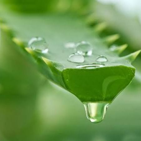 Aloe%20Vera%20body%20intimate%20smoody%20gel%201pcs%20-%20Image%203