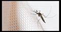 Door Anti Mosquito Net/Insect Flying Bug Mosquito Net/Best Quality Mosquito Net 2.5inc/7feet's.