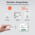 Smart Life ZigBee Socket Switch Relay Module KWh Meter Power Monitor Timer 16A Overload Protect Support  Home Alexa. 