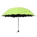 ☂️☂️ ​ရေစိုပန်းပွင့်​ခေါက်ထီး (Water Bloom Umbrella). 