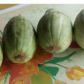 High Germination Cucumis Melo (ونگا) Wanga| Cucumber Melo Fruit Seeds For Kitchen Gardening. 