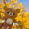 12cm Cute Rilakkuma Korilakkuma Plush Toy Cartoon Brown Beige Bear Stuffed Doll Adorable Plushies Birthday  For Girl. 
