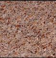Ispaghol Sabit / Psyllium Seeds 100Gram. 