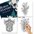 Human Anatomy Coloring Book 24 Pages Medical Illustrations for Students Nurses Stress Relief Learning .
