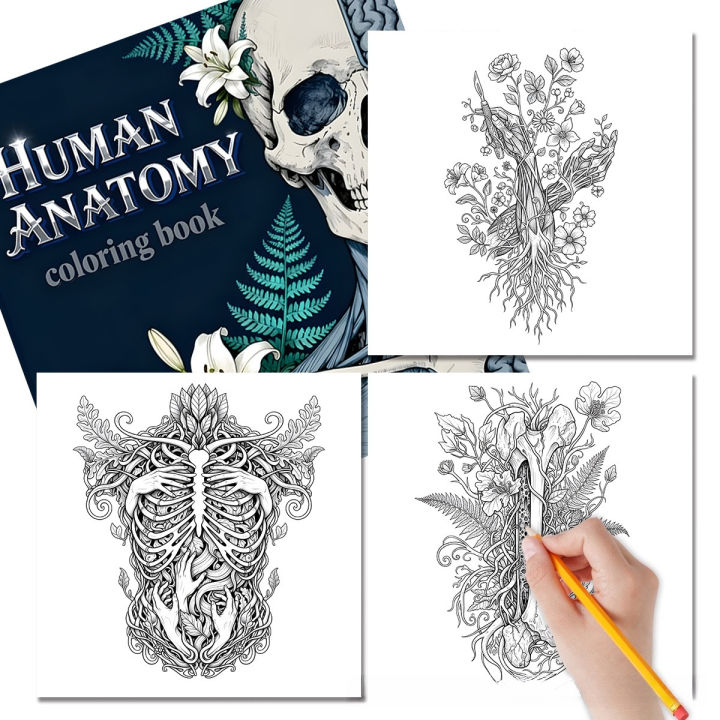 Human%20Anatomy%20Coloring%20Book%2024%20Pages%20Medical%20Illustrations%20for%20Students%20Nurses%20Stress%20Relief%20Learning%20%20-%20Image%202