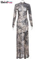 Weird Puss Mesh Print Women Maxi Dress Turtleneck Full Sleeve Bodycon Autumn Trendy Hipsters High Street Party Y2K Attirewear. 