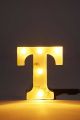 Alphabet Letter LED Light Outdoor Home Decor And Club Wedding Wall Decor. 