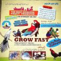Budgie breeding formula | bujri fast growth breeding formula. 