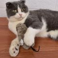 Pet Interactive Cat Toy Mouse Moving Automatic Cat Toys Mice With Spring Wheels For Kitten Indoor Outdoor Exercise Play. 