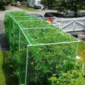 Garden Netting Green Woven Mesh Protect Plants Fruits Flowers Trees Stretch Fencing Durable Net Stops Birds Deer Animals. 