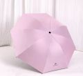Auto Umbrella, Compact & Durable, Windproof & Water-Resistant. 
