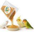 CitiBird Premium 5-Color Millet Mix – 1kg | Dust-Free Balanced Bird Seed. 
