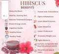 Hibiscus (100% Natural Tea). 