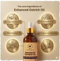 Ostrach Joint Oil 30ml Buy 2 Get 1 Free | Pack of 3 Herbal Joint & Knee Pain Relief Massage Oil | Natural Essential Oil Blend for Back, Muscle & Arthritis Care... 
