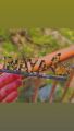 customize name stands | you can customize your name here. 