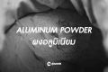 Aluminum Powder (100 mesh) aluminum powder is used to mix in resin and epoxy resin to heat transfer.. 