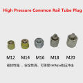 Common Rail Tube Plug Common Rail Injector Cap Common Rail Injector Tube Block-Off Tool Sealing Plug M12 M14 M16 M18 M20. 