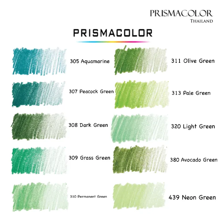 Prismacolor%20scholar%20group%20Green%20waterproof%20color%20pencil%20-%20Image%202