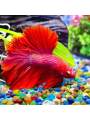 Blue Glass Gravel 3 4mm Aquarium Decor Stones Fire Pit Glass Vase Filler Craft Decoration Pebbles for Fish Tank Home Garden DIY.