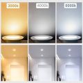 COB 30Watt 8" Hole Movable Light 8" For Celing Light Raond 3000k+4000k+6500k Colour mixture. 