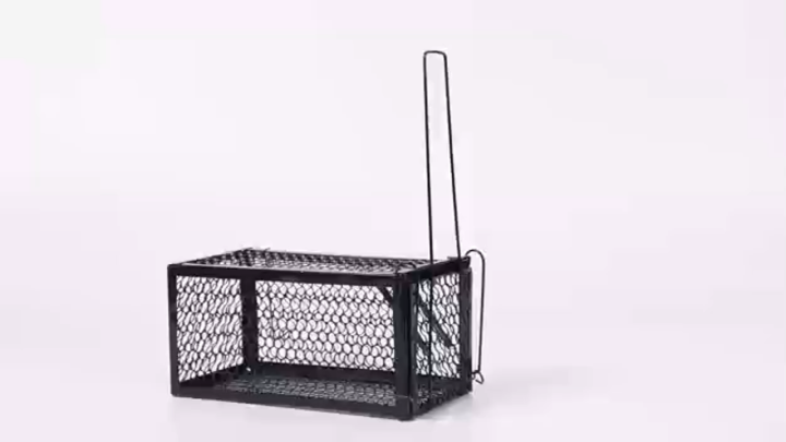 Reusable Traditional Metal Mouse Trap Cage – Humane Live Catch Rodent Control for Garden & Home | No-Kill Rat & Mice Trap Cage | Easy-to-Use Reusable Rodent Catcher