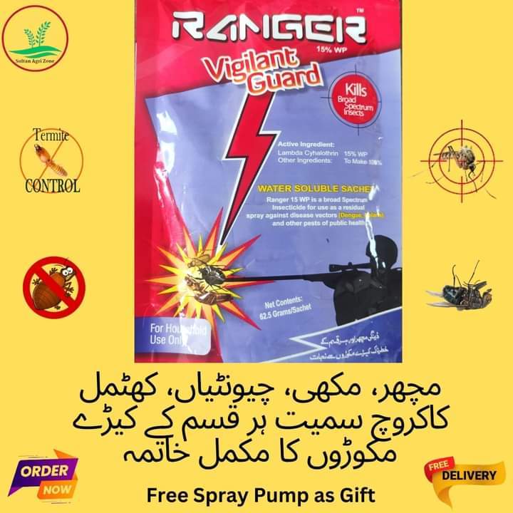 Pack%20of%202----1%20spray%20pump%202%20litre%20and%201%20Rangers%20Mosquito%20dengue%20Killer%20Spray%20best%20Quality%20-%20Image%202