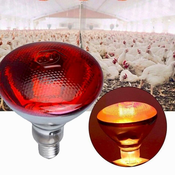 Ceramic Heat Emitter Bulb 200W AC 220V Light Lamp For Reptile Pet ...